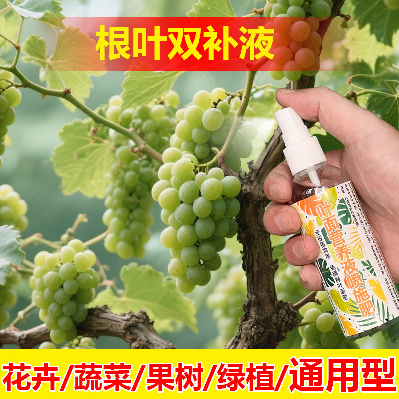 植物专用肥料盆栽金虎金冠绯花玉仙人球多肉植物营养液叶面肥料
