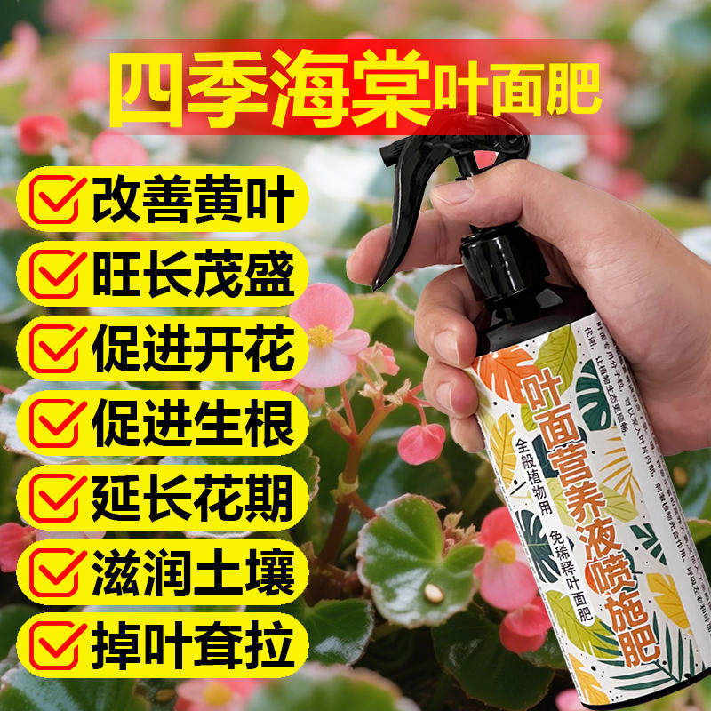 四季海棠花专用肥料盆栽花肥土壤营养液叶面肥叶面肥肥水溶化肥料