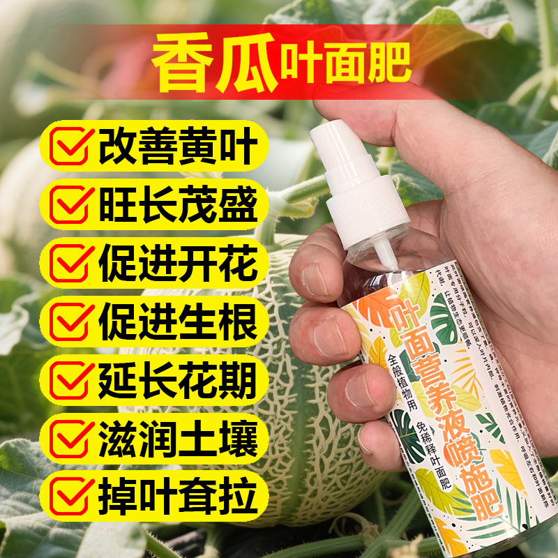 香瓜专用肥料甜瓜香瓜苗营养液氮磷钾有机肥盆栽种植土壤水溶化肥