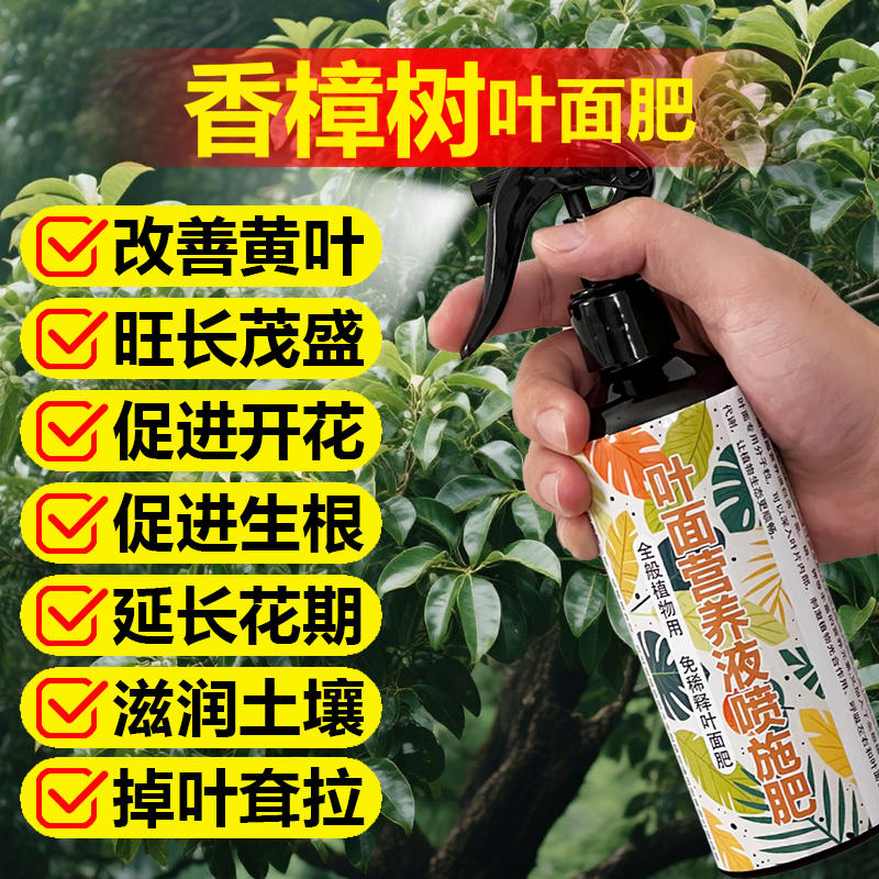 香樟树专用肥料盆栽香樟树苗大树喷剂营养液种植专用土壤叶面肥料
