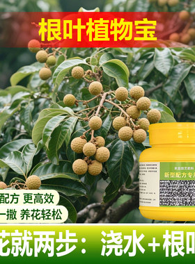 植物专用肥料营养液吉利红花烂叶子发软焦尖发黑发黄发蔫软下垂