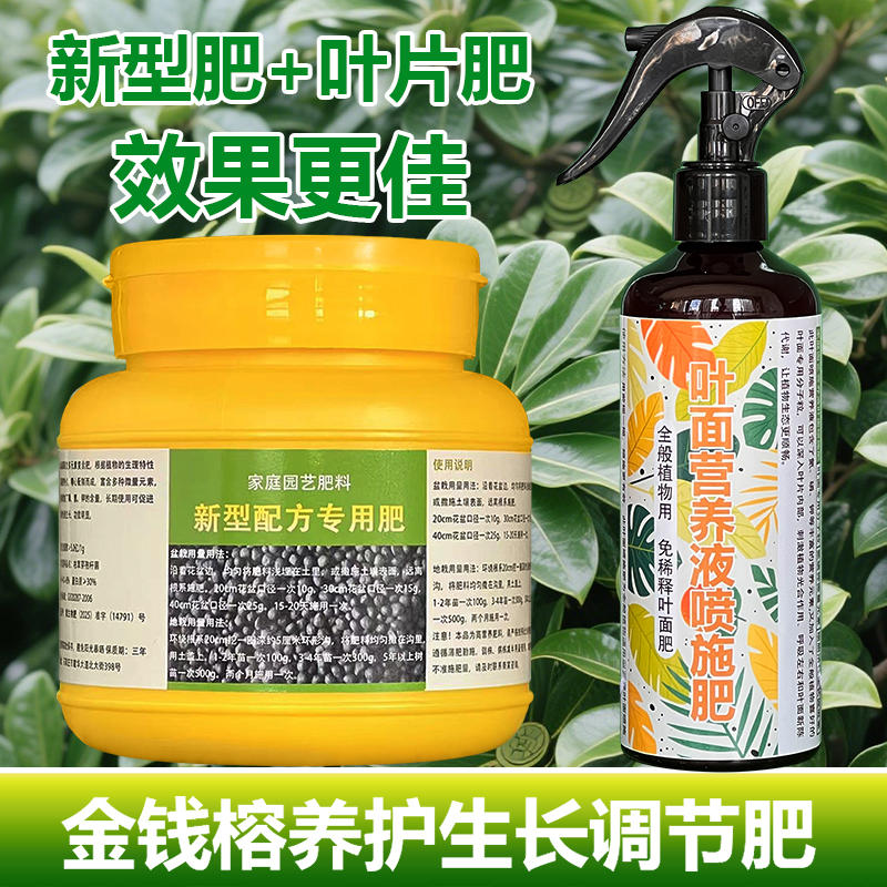 榕树专用肥料盆栽盆景人参榕大树苗金钱榕专用土营养液小叶面肥料