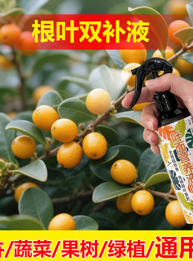植物专用肥料花盆栽爬藤植物藤蔓花卉氮磷钾营养液喷剂叶面肥料
