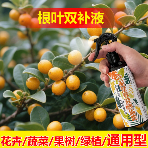植物专用肥料花盆栽爬藤植物藤蔓花卉氮磷钾营养液喷剂叶面肥料