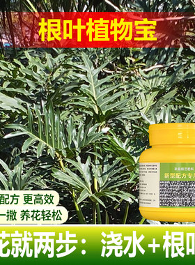 植物盆栽专用磷钾营养液体如意皇后吉利红植物浓缩水培花卉肥料