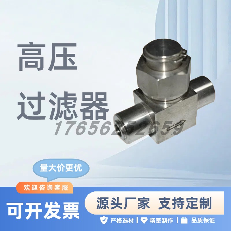 定制高温高压过滤器GGL-2