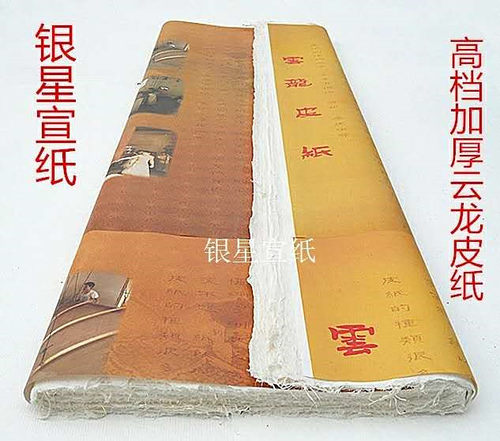 安徽省泾县白色云龙皮纸半熟宣