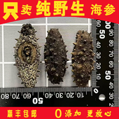 海参干活500g长岛纯淡干野生海参底播参无添加孕妇老人儿童放心吃