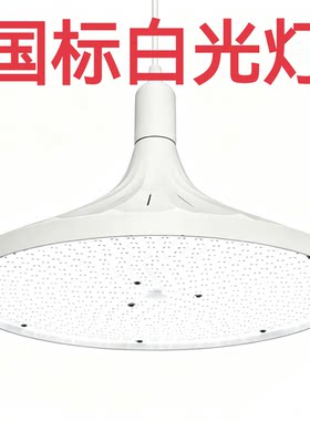 【国标全白光】LED白光符合检测标准商超食品照明灯菜市场吊灯