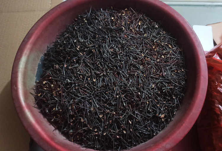 野生酸枣刺中药材包邮枣针刺酸枣针纯刺枣树刺山枣刺山野刺杆刺棒