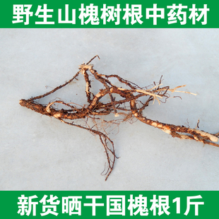 槐树根 野生槐根中药材国槐树根槐树皮老槐树根带皮洋槐根500g1斤