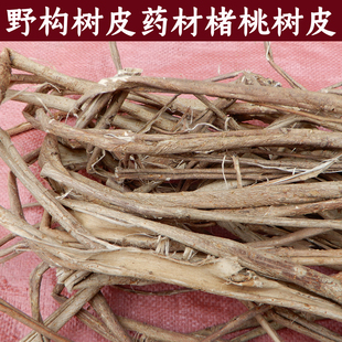 中药材野生楮桃树皮褚桃皮楮树皮构树皮造纸新鲜褚桃皮晒干新1斤