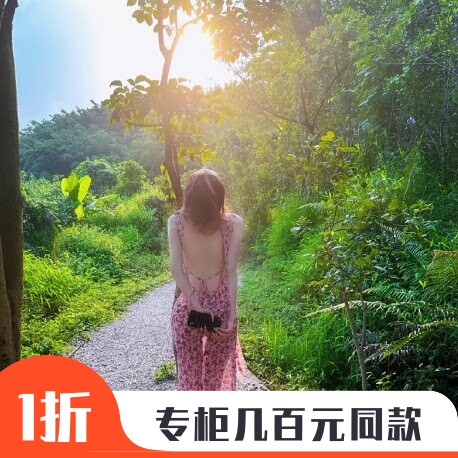 海边长裙度假风大露背碎花性感