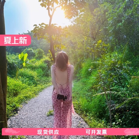 海边长裙度假风大露背碎花性感