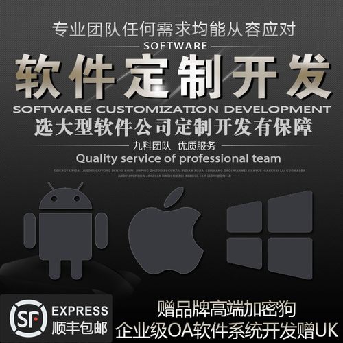 c#delphi易语言软件开发定制设计服务端客户端BUG修改delphi调试