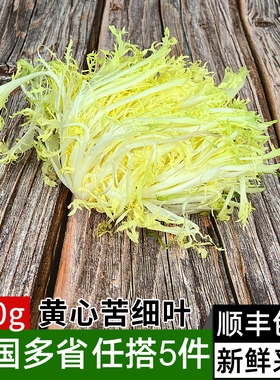 新鲜黄心苦菊500g 苦细叶 苦叶生菜苦苣 狗牙生菜 蔬菜沙拉食材