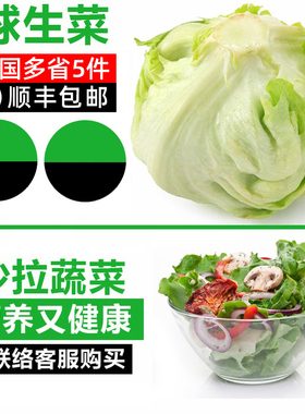 新鲜球生菜500g 西生菜圆生菜新鲜蔬菜西餐汉堡用沙拉色拉食材