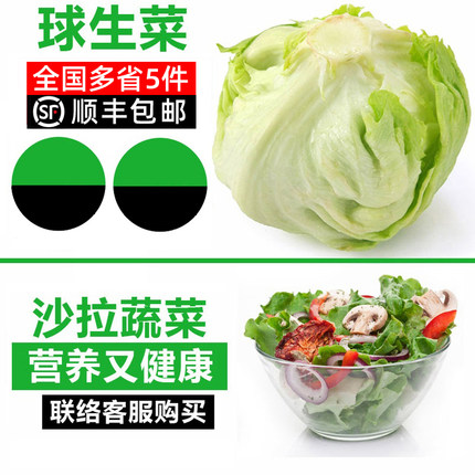 新鲜球生菜500g 西生菜圆生菜新鲜蔬菜西餐汉堡用沙拉色拉食材