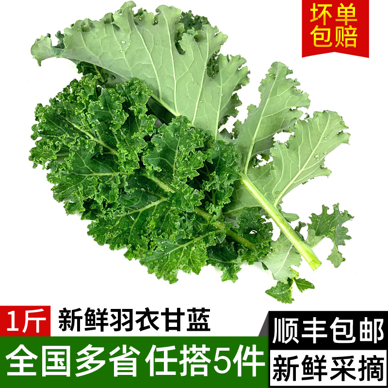 新鲜羽衣甘蓝沙拉榨汁轻食蔬菜