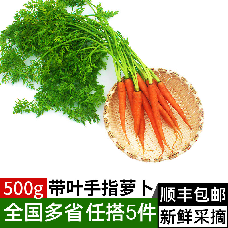 新鲜带叶手指胡萝卜500g 迷你水果小胡萝卜蔬菜沙拉食材满5件包邮