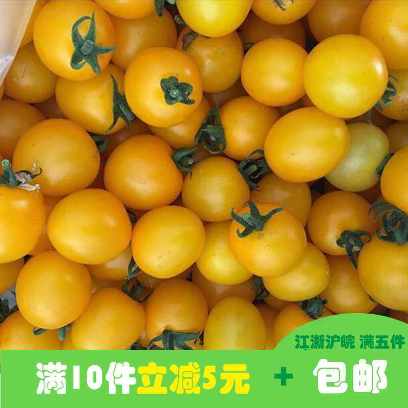 ÐÂÏÊÊß²ËÉϺ£±¾µØ »ÆÉ«Ð¡·¬ÇÑ Ê¥Å®¹û450g½Õ㻦Íî5¼þ°üÓÊ