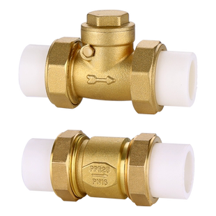 PPR止回阀卧立式双活接4分6分全铜20/25逆止热熔自来水管表单向阀