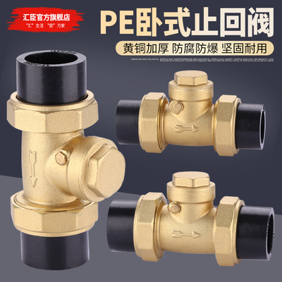 PE卧式止回阀黄铜主体