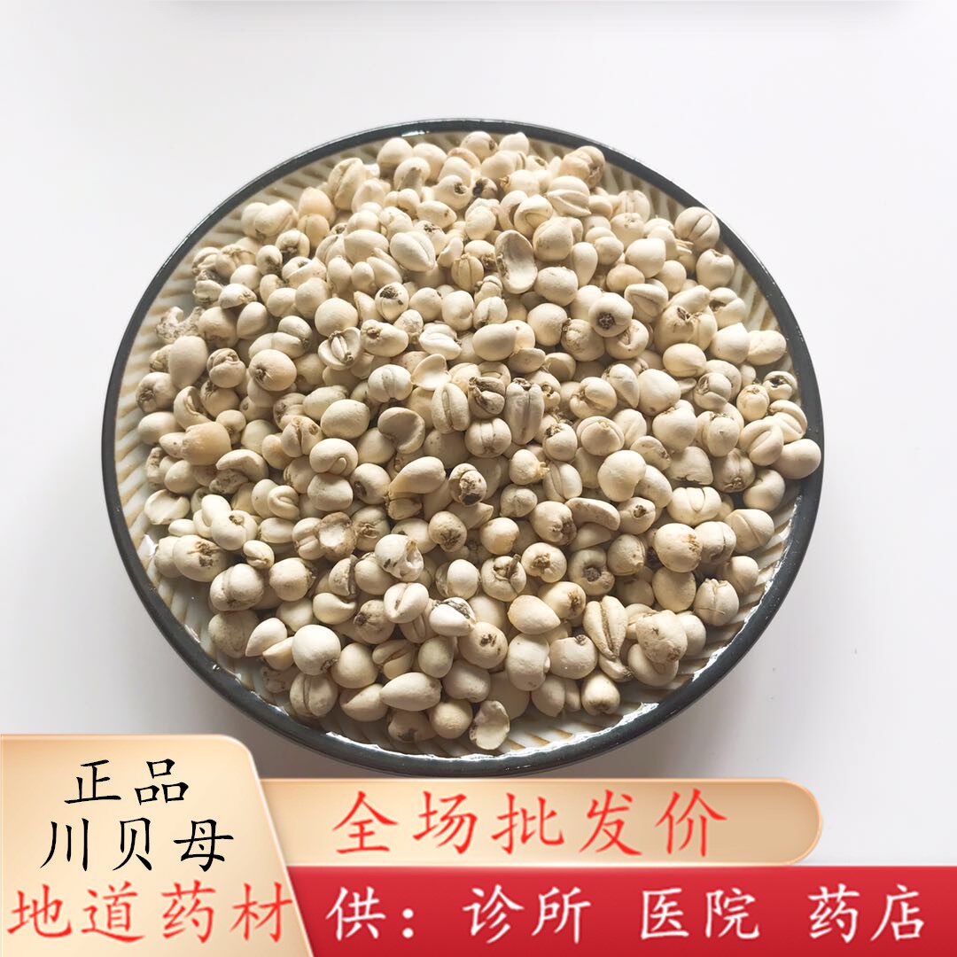 安国中药材批 发 川贝母100g 松贝 野生 天然 无硫 四川 精选包邮