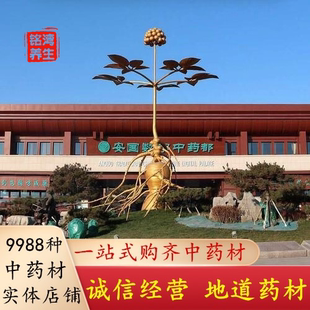 安国中药材批 发 中药材市场打粉中药材店铺 实体店茯苓黄芪当归