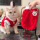小猫咪衣服冬季 新年喜庆拜年服金渐层布偶蓝猫宠物防掉毛加绒棉衣