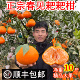 特级粑粑柑旗舰店丑杷杷柑橘子 正宗四川春见耙耙柑10斤装 顺丰 包邮