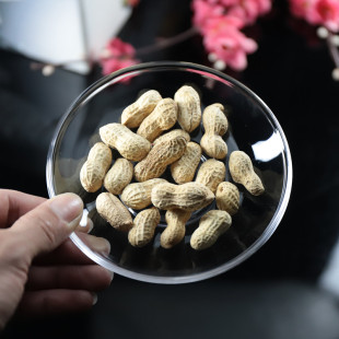 光面玻璃水果盘圆形杯碟小吃沙拉盘精致KTV酒吧小号专用盘点心碟