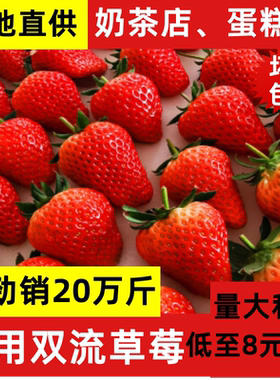 云南草莓新鲜烘焙奶茶蛋糕商用当季孕妇水果5斤奶油牛奶草莓包邮