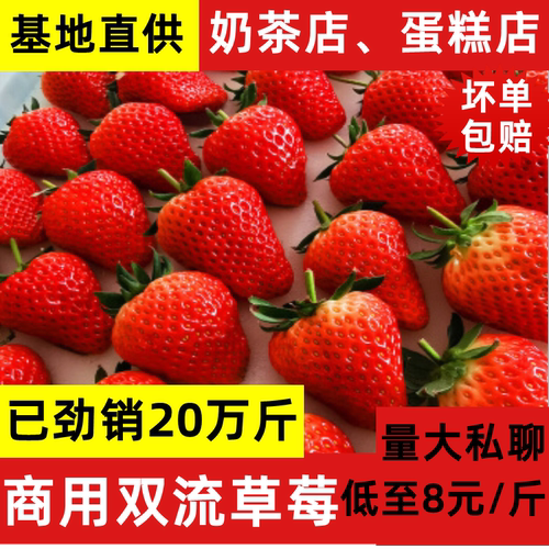 云南草莓新鲜烘焙奶茶蛋糕商用
