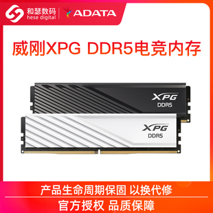DDR5 32G 6000 6400 机电脑马甲内存条 威刚XPG威龙D300 台式 16G