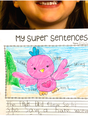 50个看图写故事Differentiated Story Writing英语写作幼儿童练习