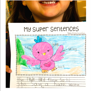 50个看图写故事Differentiated Story Writing英语写作幼儿童练习