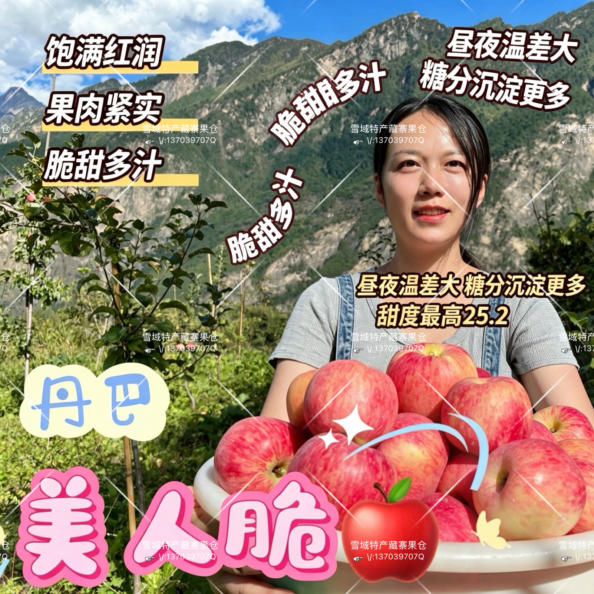 丹巴正宗美人脆苹果自然成熟现摘苹果