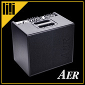 4通道 德国原装 100瓦 专业弹唱指弹木吉他音箱 AER Domino