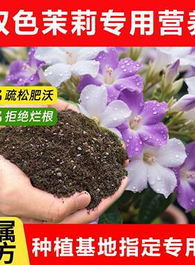 双色茉莉花专用土料盆栽茉莉花树苗有机土营养土种植肥花卉土家用