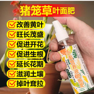 猪笼草专用肥料养护花盆栽专用土养殖结笼长笼子的营养液叶面肥料