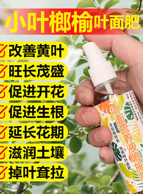 小叶榔榆专用肥料树苗盆景土壤营养液发黄卷缩萎蔫干枯掉叶面肥料