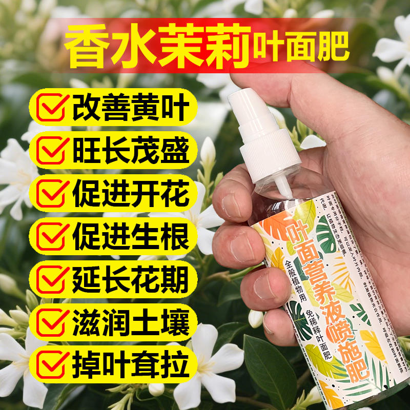 香水茉莉专用肥料专用土养殖花树苗爬藤盆栽茉莉花营养液叶面肥料