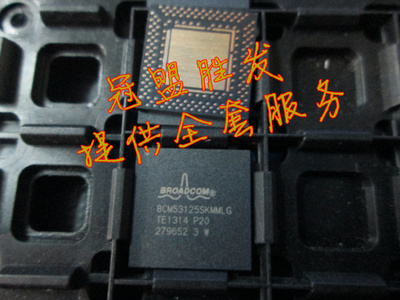 BCM53125SKMMLG  全新原装现货  可出样板