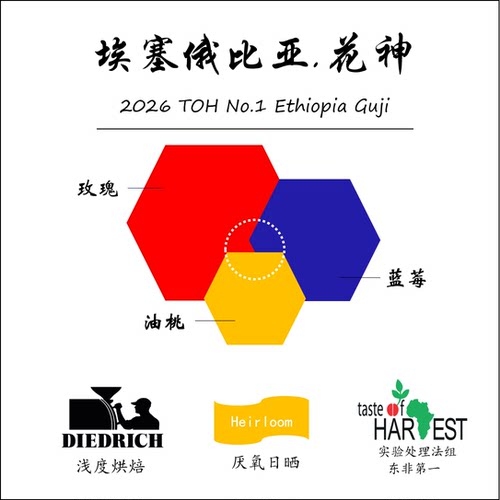 2026年TOH厌氧日晒组东非第一名