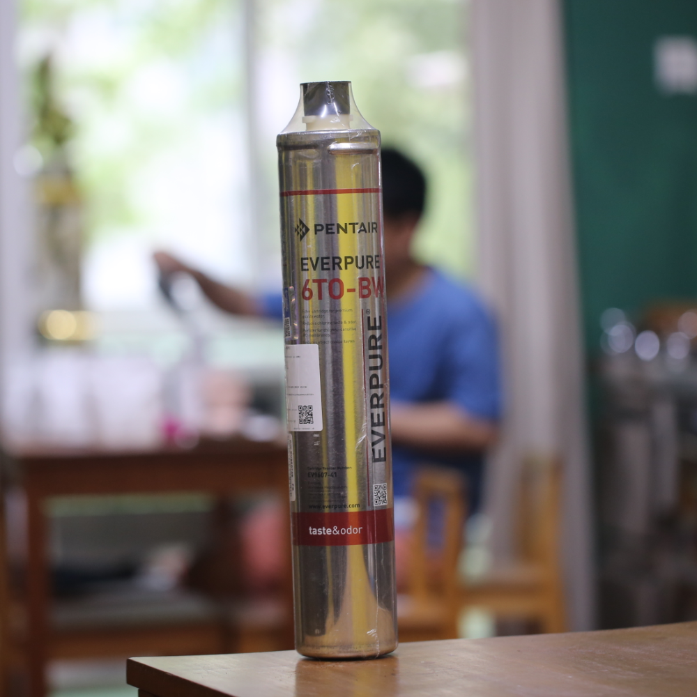 美国滨特尔/爱惠浦原装Everpure/Pentair 6TO-BW滤芯mrs100系统用