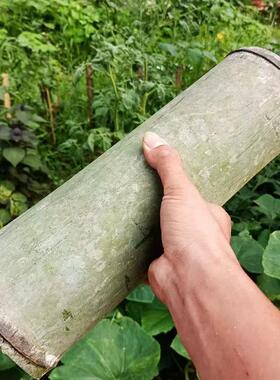 毛竹楠竹材料两头通堵可选中间