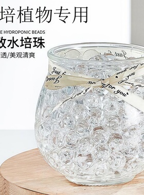 水培珠海绵宝宝水晶泥水宝宝泡大珠海洋球水精灵无土水培植物营养