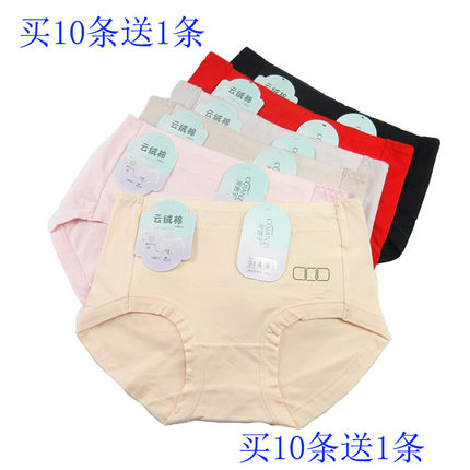4条包邮宠茜子9118内裤中腰S码石墨烯档云绒棉抑菌细腰瘦腿简约女