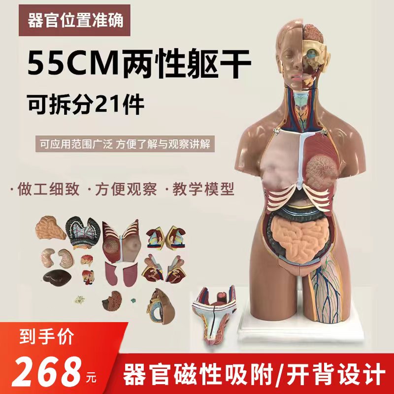 55CM高度磁性吸附可拆卸器官